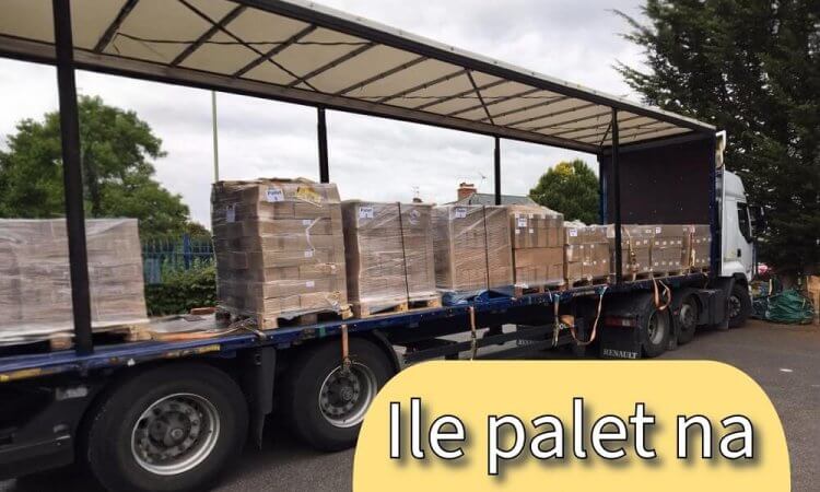 Ile Palet Wchodzi Na TIRa 120x80 Koon