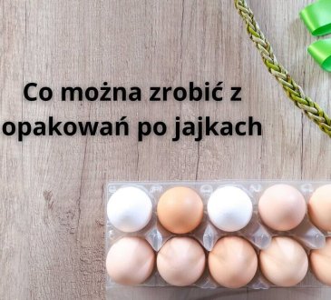 Co można zrobić z opakowań po jajkach - prace z wytłoczek po jajkach