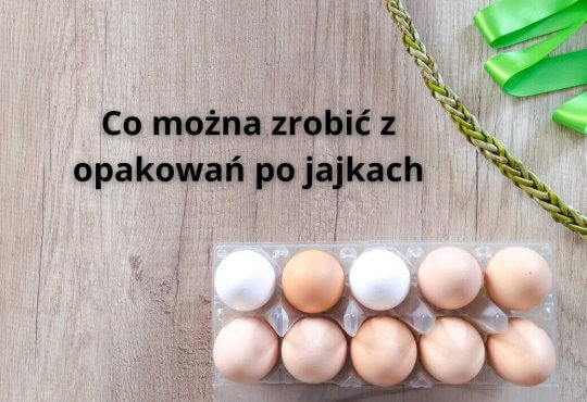 Co można zrobić z opakowań po jajkach - prace z wytłoczek po jajkach