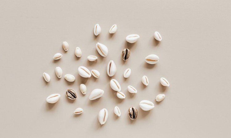 Muszelki do biżuterii – naturalny urok w Twoich rękodzielniczych projektach